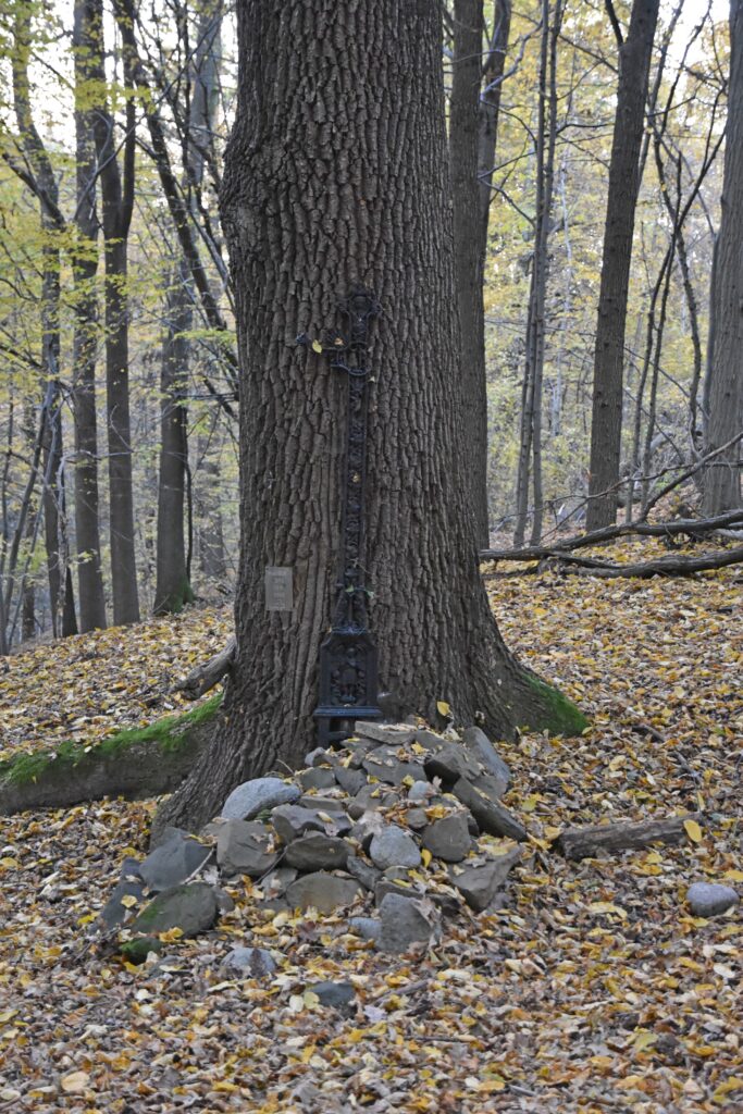 SG cm chol 2 683x1024 1