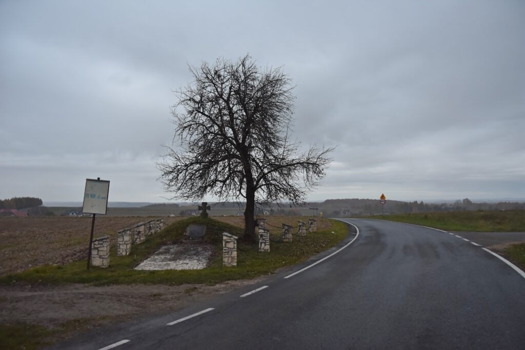 rzeplin cm 1 1024x683 1