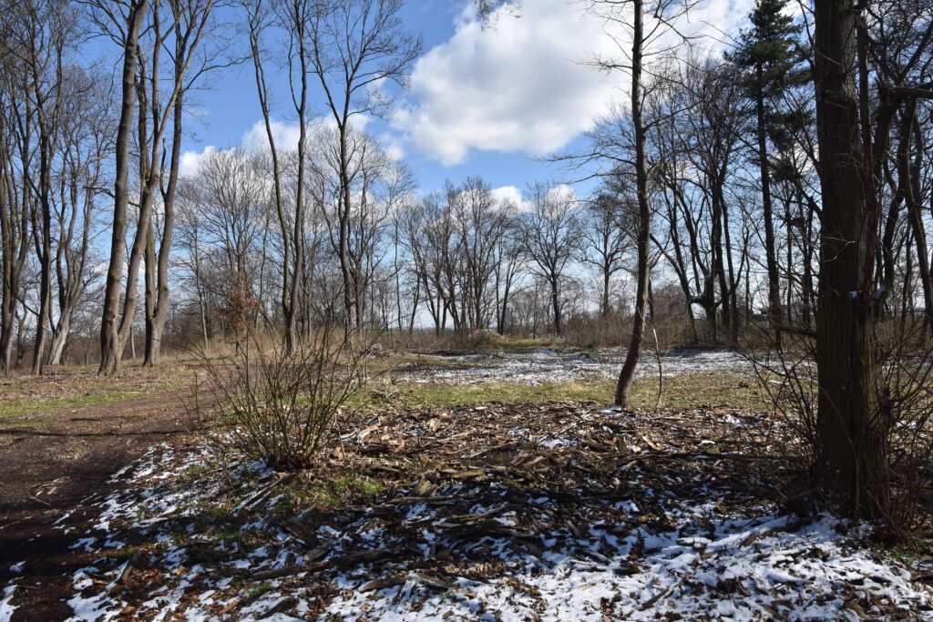 Stregoborzyce dwor olimp 1 glowna 1024x683 2