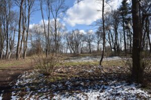 Stregoborzyce dwor olimp 1 glowna