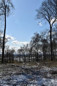 Stregoborzyce dwor olimp 3